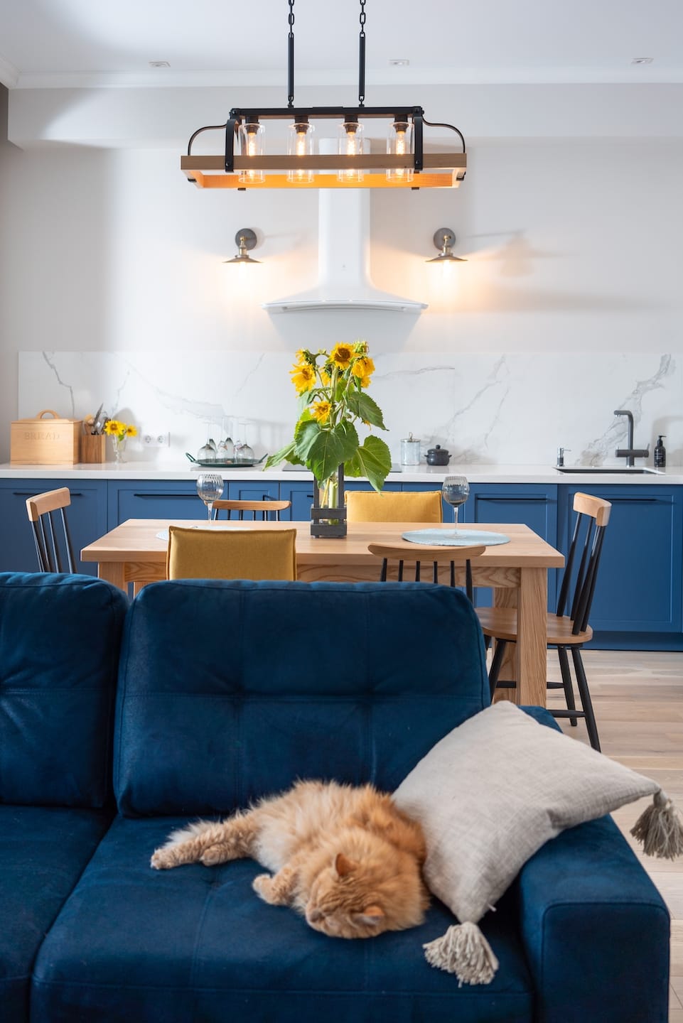 modern-scandinavian-cozy-kitchen-and-sleeping-cat-2022-11-16-23-03-46-utc-1.jpg